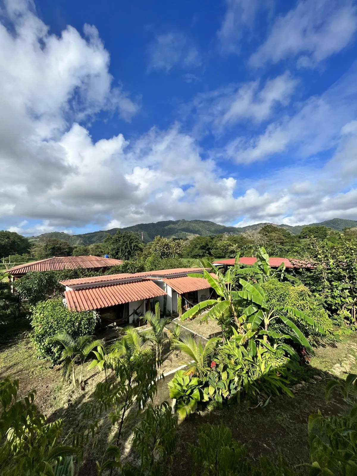 La Brisa’s cabins and garden seen from above, hills behind